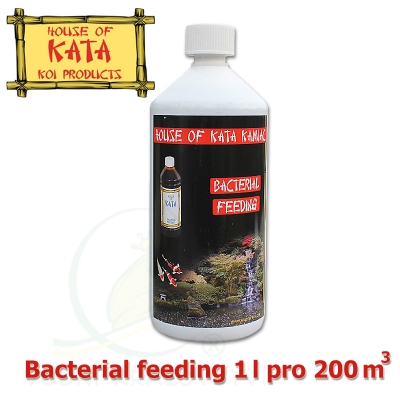 Bacterial feeding