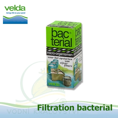 filter start bacterials