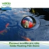Plovoucí krmítko pro ryby, malé, průměr 56cm, výška 24cm - Velda Floating Fish Dome M
