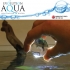 Evolution Aqua Pure Aquarium BOMB detail 1